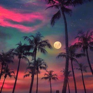 Meet your Posher, Lynn